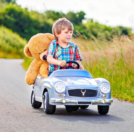 Kind fährt auf einer Landstraße in einem silbernen Kinderauto mit großem Teddybär auf dem Rücksitz, im Hintergrund ist Feld.