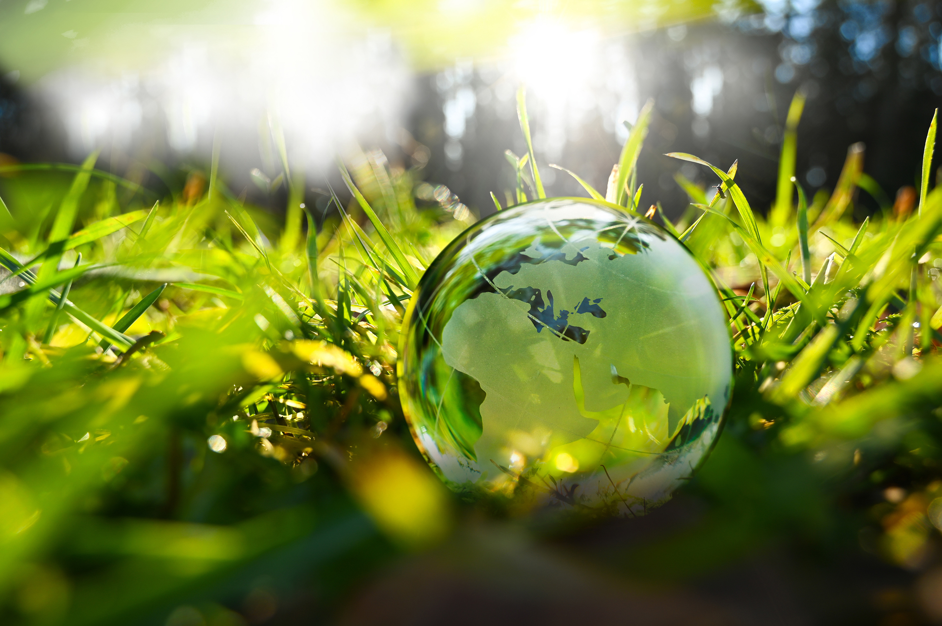 Glaskugel mit Weltkartenmotiv liegt im grünen Gras bei Sonnenlicht. ?>